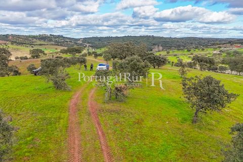 Masia a Evora, Evora, Evora - € 1.500.000 | Ref: JC782 - foto 43