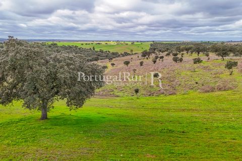 Masia a Evora, Evora, Evora - € 1.500.000 | Ref: JC782 - foto 44