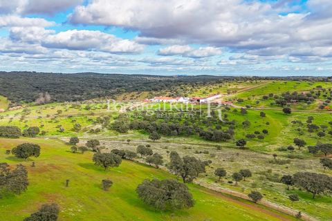 Masia a Evora, Evora, Evora - € 1.500.000 | Ref: JC782 - foto 45