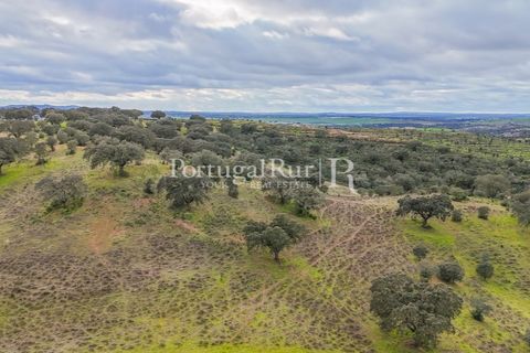 Masia a Evora, Evora, Evora - € 1.500.000 | Ref: JC782 - foto 46