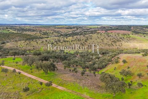Masia a Evora, Evora, Evora - € 1.500.000 | Ref: JC782 - foto 47