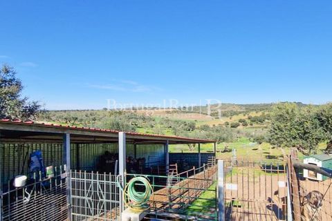 Masia a Evora, Evora, Evora - € 1.500.000 | Ref: JC782 - foto 20