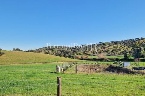 Masia a Evora, Evora, Evora - € 1.500.000 | Ref: JC782 - foto 21