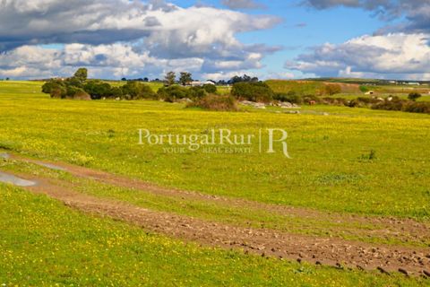 Helårsgrund i Evora, Evora, Evora - € 1.975.000 | Ref: 1115 - foto 7
