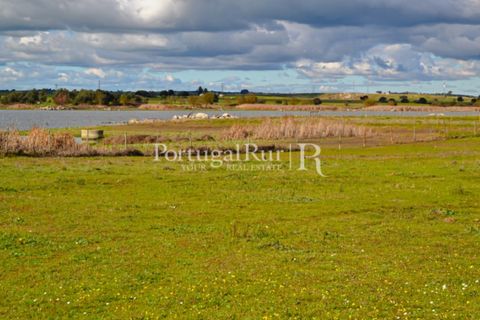 Helårsgrund i Evora, Evora, Evora - € 1.975.000 | Ref: 1115 - foto 8