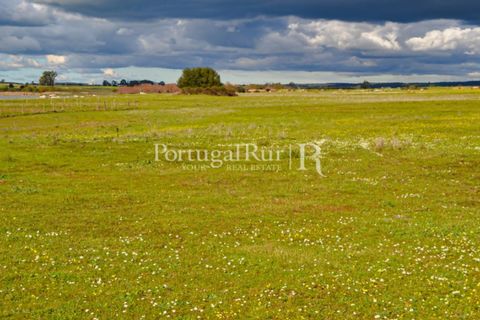Helårsgrund i Evora, Evora, Evora - € 1.975.000 | Ref: 1115 - foto 9