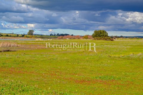 Helårsgrund i Evora, Evora, Evora - € 1.975.000 | Ref: 1115 - foto 11