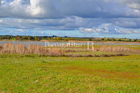 Helårsgrund i Evora, Evora, Evora - € 1.975.000 | Ref: 1115 - foto 12
