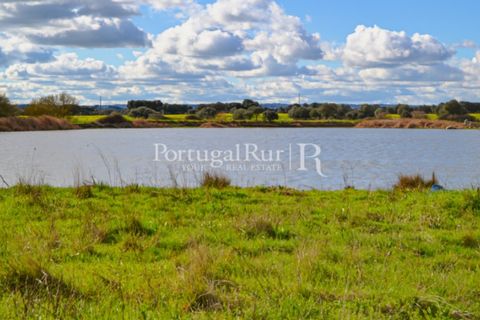 Helårsgrund i Evora, Evora, Evora - € 1.975.000 | Ref: 1115 - foto 3