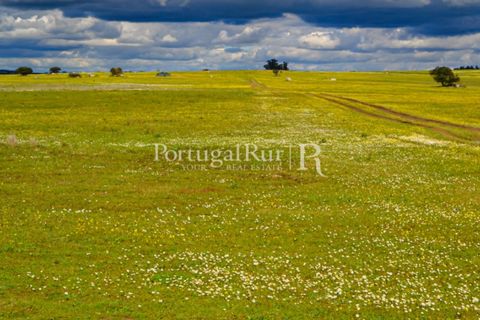 Helårsgrund i Evora, Evora, Evora - € 1.975.000 | Ref: 1115 - foto 13