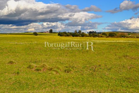 Helårsgrund i Evora, Evora, Evora - € 1.975.000 | Ref: 1115 - foto 14