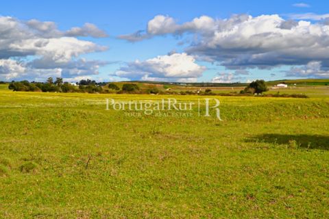 Helårsgrund i Evora, Evora, Evora - € 1.975.000 | Ref: 1115 - foto 15