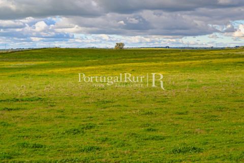 Helårsgrund i Evora, Evora, Evora - € 1.975.000 | Ref: 1115 - foto 17