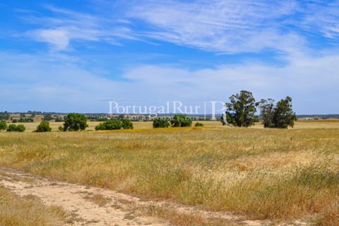 Helårsgrund i Evora, Evora, Evora - € 1.975.000 | Ref: 1115 - foto 19