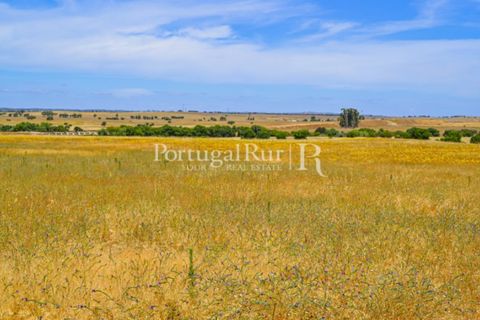 Helårsgrund i Evora, Evora, Evora - € 1.975.000 | Ref: 1115 - foto 20