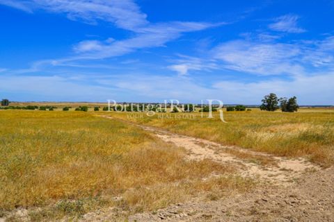 Helårsgrund i Evora, Evora, Evora - € 1.975.000 | Ref: 1115 - foto 21