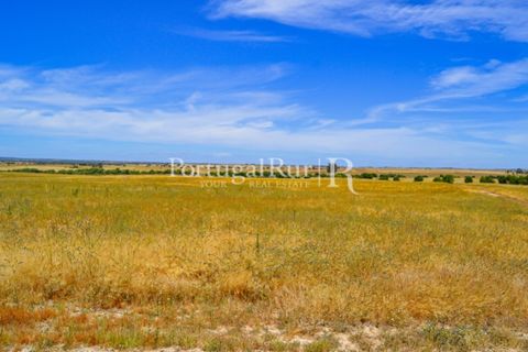 Helårsgrund i Evora, Evora, Evora - € 1.975.000 | Ref: 1115 - foto 22