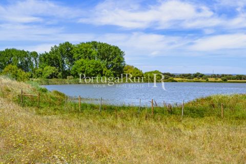 Helårsgrund i Evora, Evora, Evora - € 1.975.000 | Ref: 1115 - foto 23