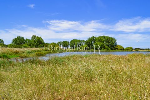 Helårsgrund i Evora, Evora, Evora - € 1.975.000 | Ref: 1115 - foto 24