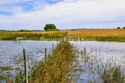 Helårsgrund i Evora, Evora, Evora - € 1.975.000 | Ref: 1115 - foto 1