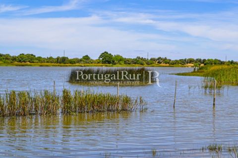 Helårsgrund i Evora, Evora, Evora - € 1.975.000 | Ref: 1115 - foto 31