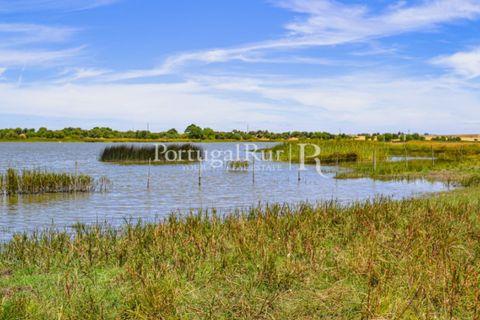 Helårsgrund i Evora, Evora, Evora - € 1.975.000 | Ref: 1115 - foto 32
