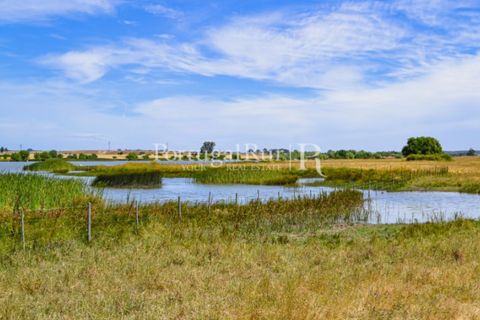Helårsgrund i Evora, Evora, Evora - € 1.975.000 | Ref: 1115 - foto 35