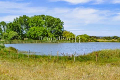 Helårsgrund i Evora, Evora, Evora - € 1.975.000 | Ref: 1115 - foto 2