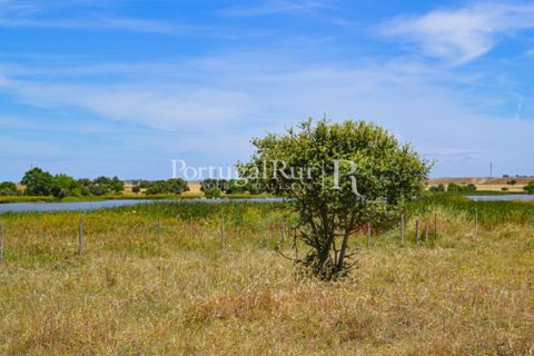 Helårsgrund i Evora, Evora, Evora - € 1.975.000 | Ref: 1115 - foto 38