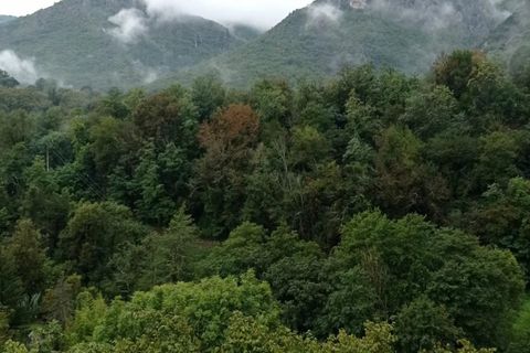 Villa i Sospel, Alpes-Maritimes, Sospel - € 159.000 | Ref: 85713367 - foto 5