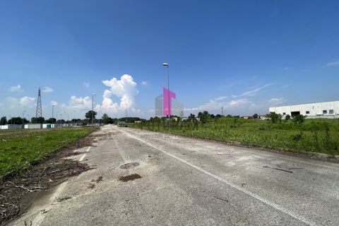 Terra a Castelfranco Veneto, Treviso, Castelfranco Veneto - € 324.000 | Ref: 582MIC - foto 19