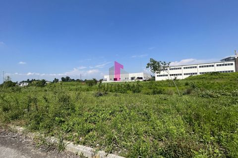 Helårsgrund i Pravisdomini, Pordenone, Pravisdomini - € 2.040.000 | Ref: 590MIC - foto 17