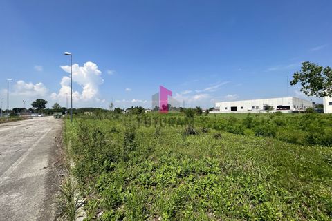 Helårsgrund i Pravisdomini, Pordenone, Pravisdomini - € 2.040.000 | Ref: 590MIC - foto 20