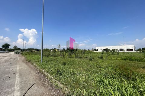 Helårsgrund i Azzano Decimo, Pordenone, Azzano Decimo - € 618.000 | Ref: 595MIC - foto 11