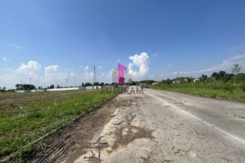 Terra a Azzano Decimo, Pordenone, Azzano Decimo - € 255.000 | Ref: 596MIC - foto 6