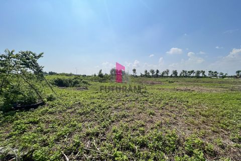 Helårsgrund i Azzano Decimo, Pordenone, Azzano Decimo - € 1.980.000 | Ref: 597MIC - foto 2