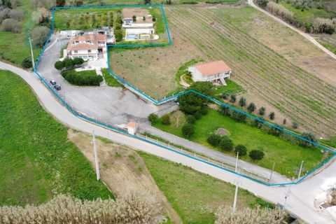 Villa i Alcobaca, Leiria, Alcobaca - € 780.000 | Ref: CR/JC003-25 - foto 2