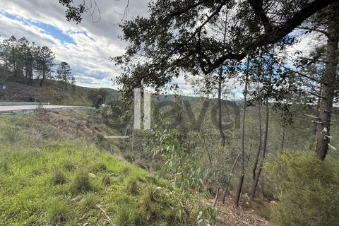 Helårsgrund i Castelo Branco, Castelo Branco, Castelo Branco - € 35.000 | Ref: 3870 - foto 1