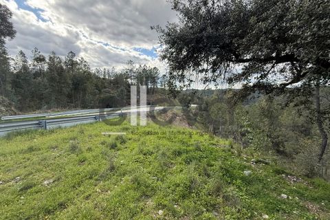 Helårsgrund i Castelo Branco, Castelo Branco, Castelo Branco - € 35.000 | Ref: 3870 - foto 2