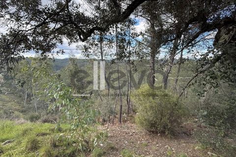 Helårsgrund i Castelo Branco, Castelo Branco, Castelo Branco - € 35.000 | Ref: 3870 - foto 4