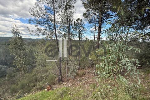 Helårsgrund i Castelo Branco, Castelo Branco, Castelo Branco - € 35.000 | Ref: 3870 - foto 5