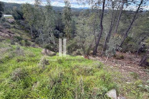 Helårsgrund i Castelo Branco, Castelo Branco, Castelo Branco - € 35.000 | Ref: 3870 - foto 6