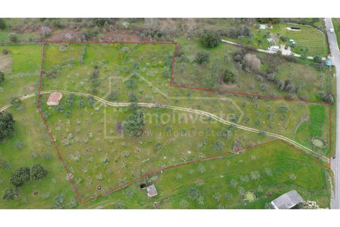 Helårsgrund i Castelo Branco, Castelo Branco, Castelo Branco - € 79.000 | Ref: SÒL_1093 - foto 1