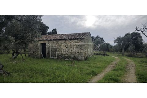 Helårsgrund i Castelo Branco, Castelo Branco, Castelo Branco - € 79.000 | Ref: SÒL_1093 - foto 2