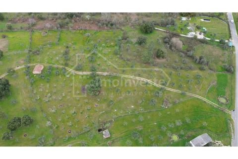 Helårsgrund i Castelo Branco, Castelo Branco, Castelo Branco - € 79.000 | Ref: SÒL_1093 - foto 3