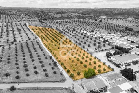 Helårsgrund i Portel, Evora, Portel - € 280.000 | Ref: 318/T/03392 - foto 3