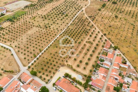 Helårsgrund i Portel, Evora, Portel - € 280.000 | Ref: 318/T/03392 - foto 7