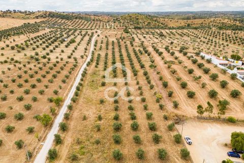 Helårsgrund i Portel, Evora, Portel - € 280.000 | Ref: 318/T/03392 - foto 10