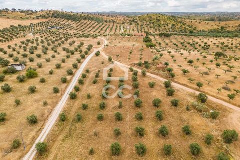 Helårsgrund i Portel, Evora, Portel - € 280.000 | Ref: 318/T/03392 - foto 11