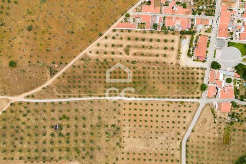 Helårsgrund i Portel, Evora, Portel - € 280.000 | Ref: 318/T/03392 - foto 15